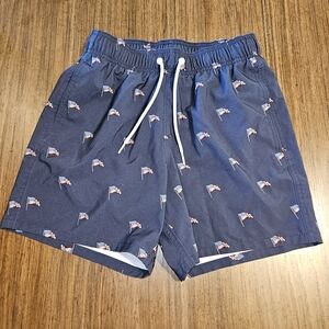 Men’s Hollister Swim Trunks Navy Blue American Flags Size Xs